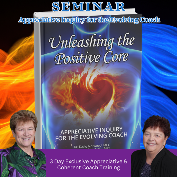 Appreciative Inquiry Seminar
